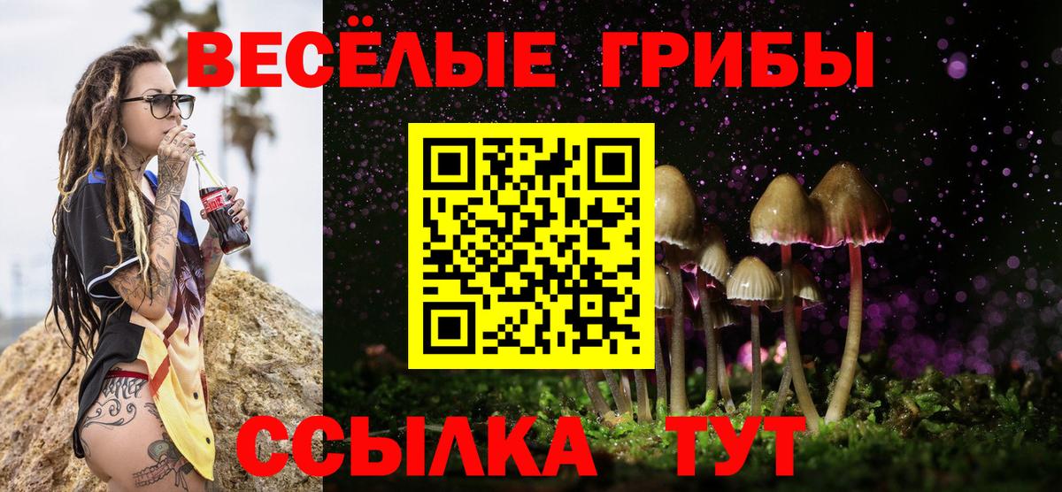 Галлюциногенные грибы мицелий  Вход с VPN  Большой Камень 