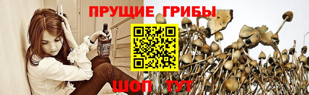 Галлюциногенные грибы MAGIC MUSHROOMS Большой Камень